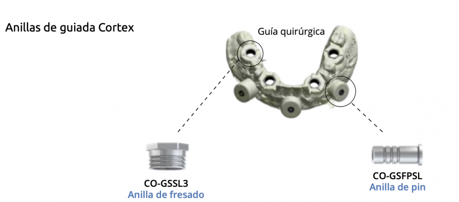 CO-GSFPSL y CO-GSPS (imagen 2)